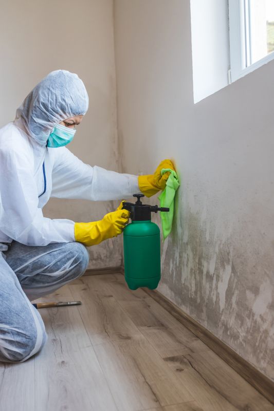 Basement Drying in Gilbert, AZ