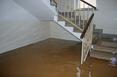 Basement Drying in Gilbert, AZ