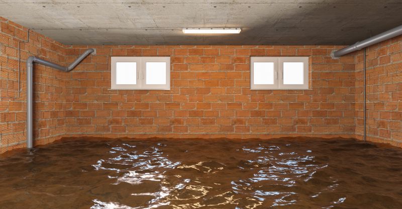 Basement Restoration Service in Mesa, AZ
