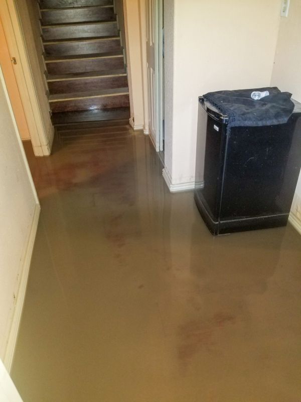 Basement Water Cleanup in Scottsdale, AZ
