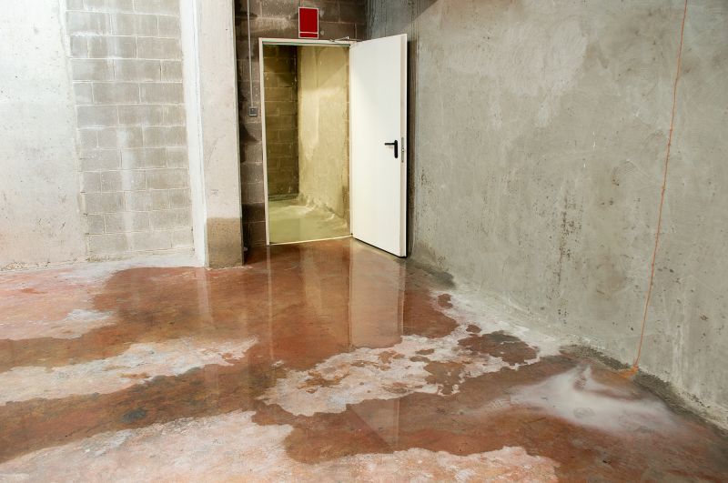 Basement Water Mitigation in Gilbert, AZ