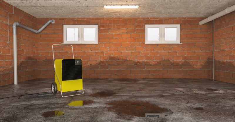 Crawl Space Water Remediation in Scottsdale, AZ