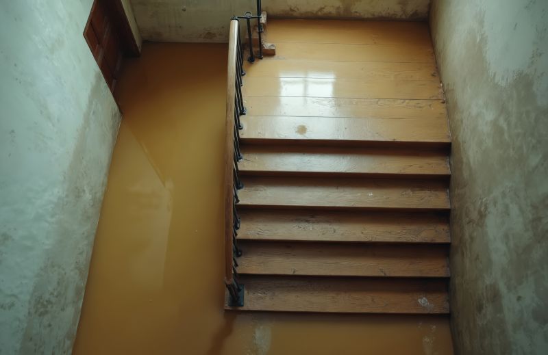 Crawlspace Water Cleanup in Scottsdale, AZ