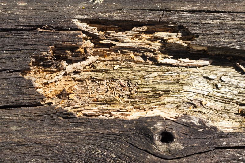 Decayed Wood Replacement in Longmont, CO