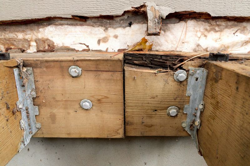 Dry Rot Repair in Denver, CO