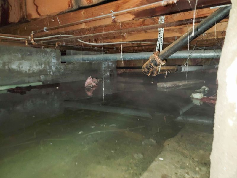 Flooded Basement Cleanup in Chandler, AZ