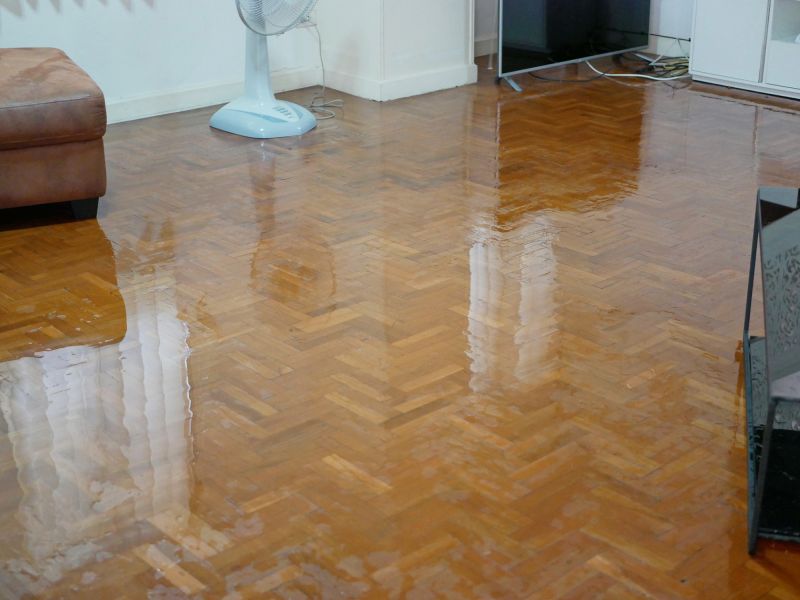 Flooded Floor Repair in Scottsdale, AZ