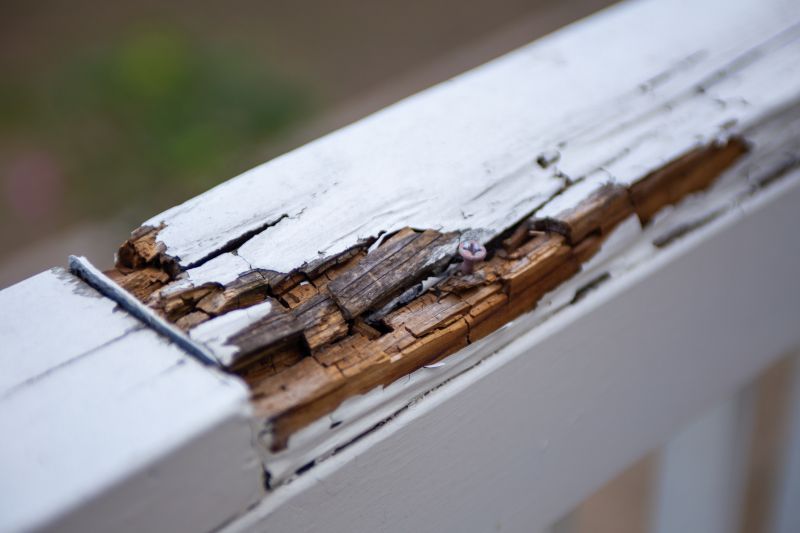 Rot Repair Service in Conroe, TX