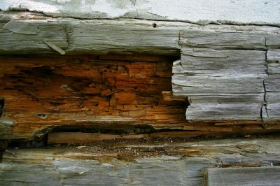 Rotten Wood Repair in Longmont, CO