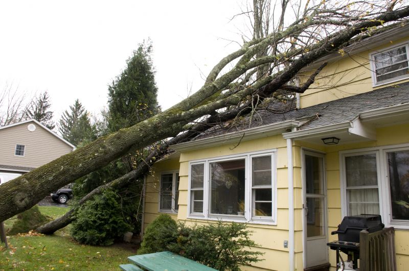 Storm Damage Cleanup in Scottsdale, AZ