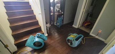 Storm Damage Cleanup in Scottsdale, AZ