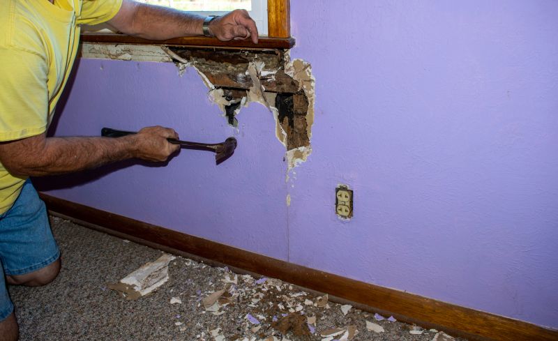 Termite Damage Repair Service in Indianapolis, IN
