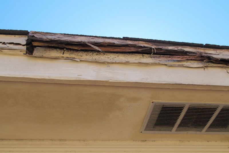 Termite Damage Restoration in Overland Park, KS