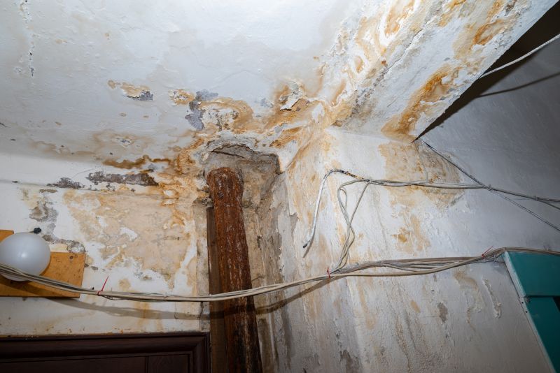 Water Damage Remediation in Gilbert, AZ