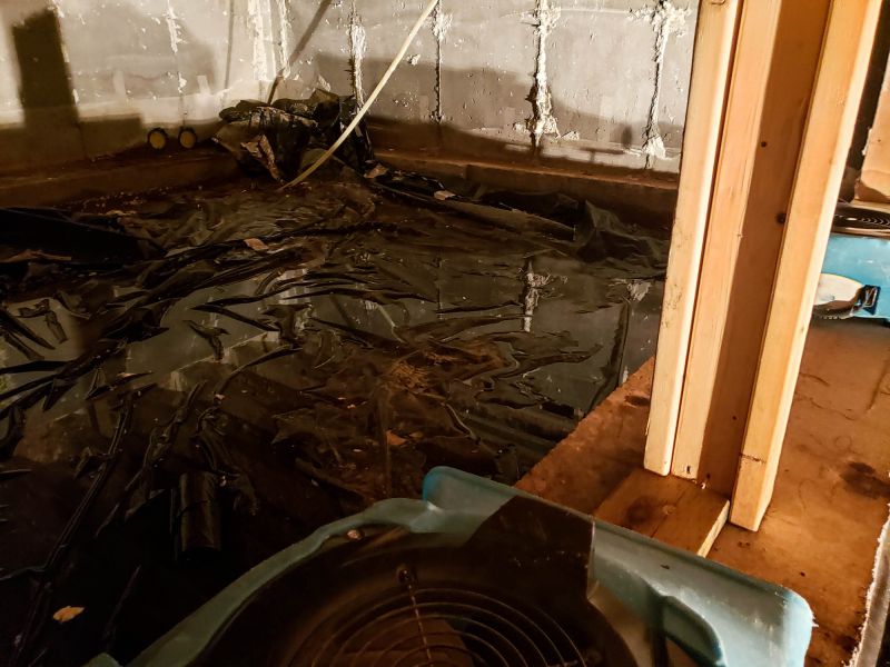 Water Removal Service in Scottsdale, AZ