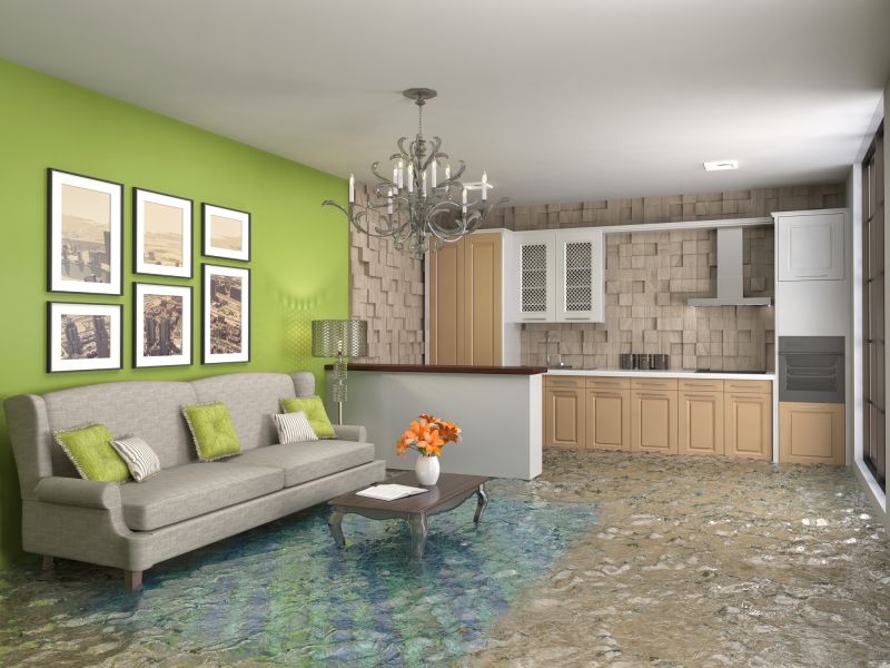 Wet Carpet Drying in Chandler, AZ