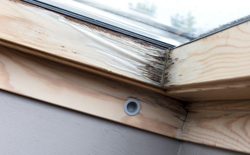 Local Window Rot Repair in Bolivia, NC