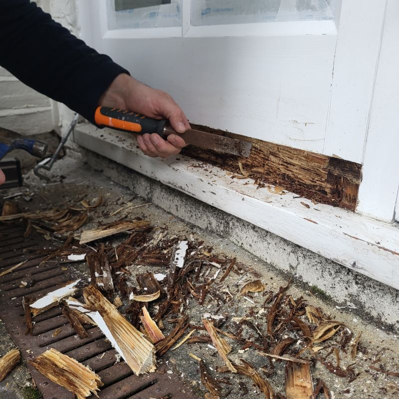 Window Rot Repair in Littleton, CO