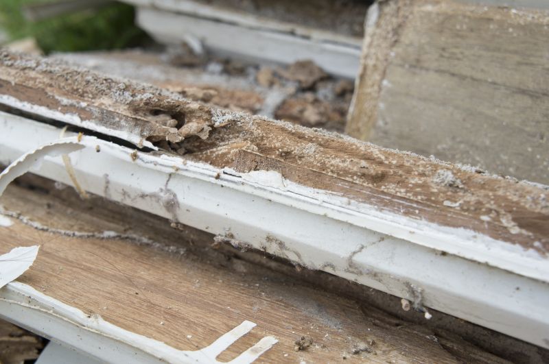 Wood Decay Removal in Wilmington, NC