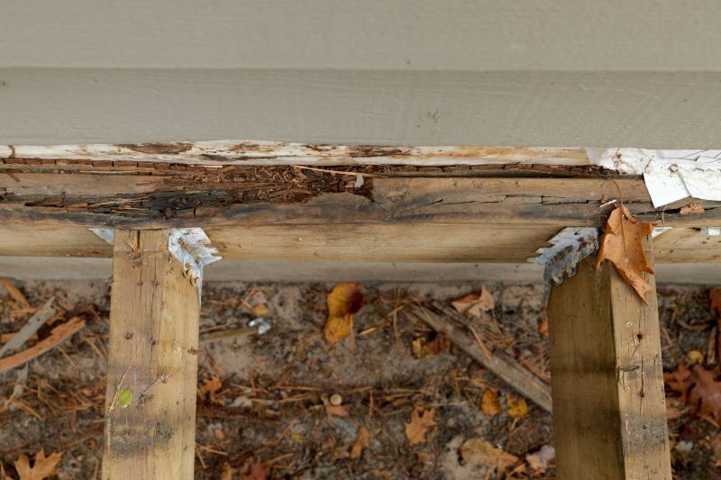 Wood Decay Removal in Roswell, GA