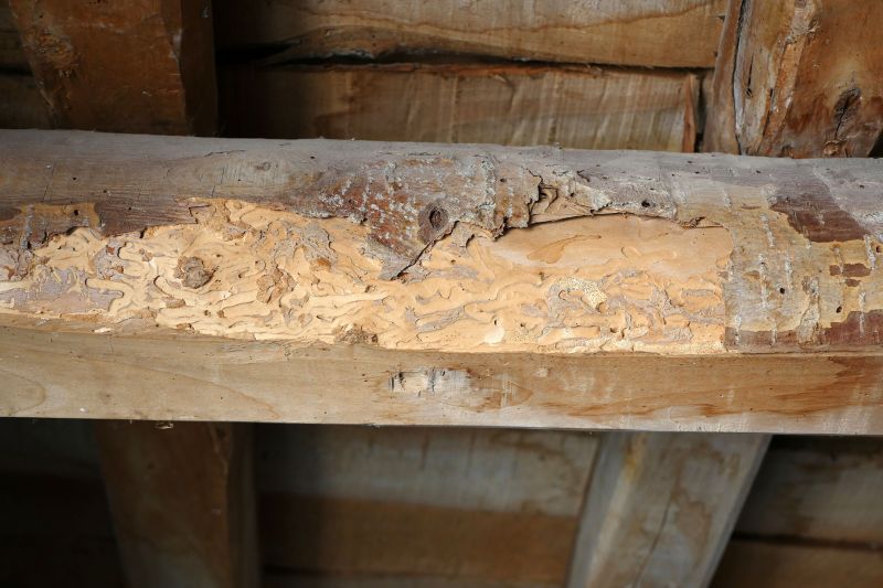 Wood Decay Repair in Olathe, KS