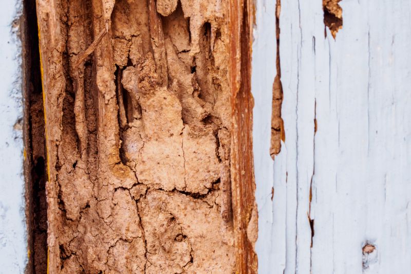Wood Rot Removal in Wilmington, NC