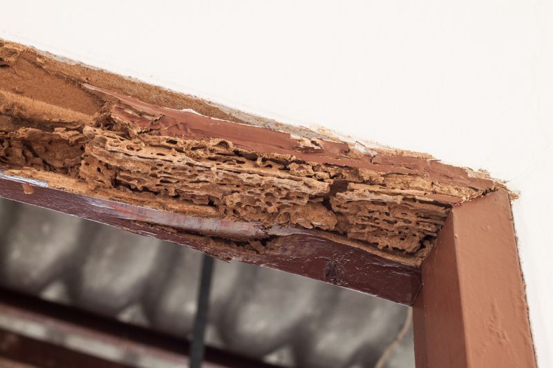 Wood Rot Removal in Denver, CO
