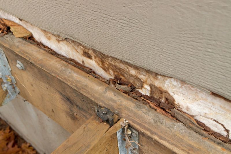 Wood Rot Removal in Conroe, TX