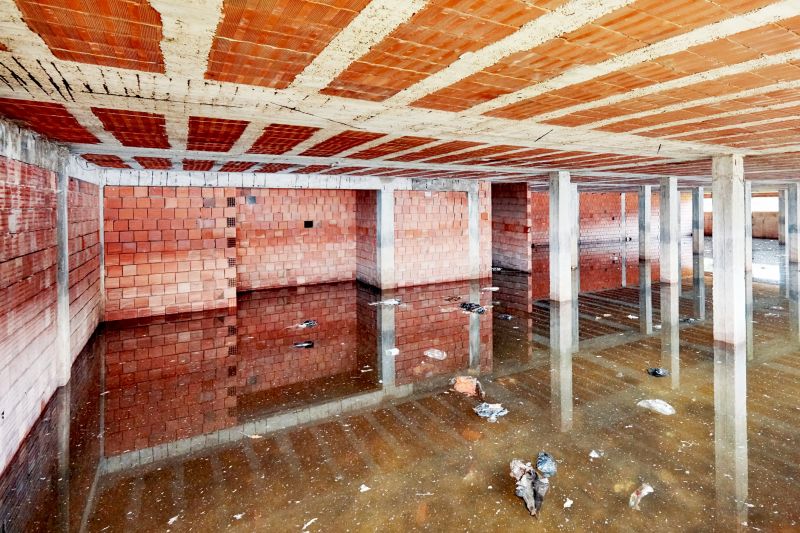 Crawl Space Water Remediation in Gilbert, AZ