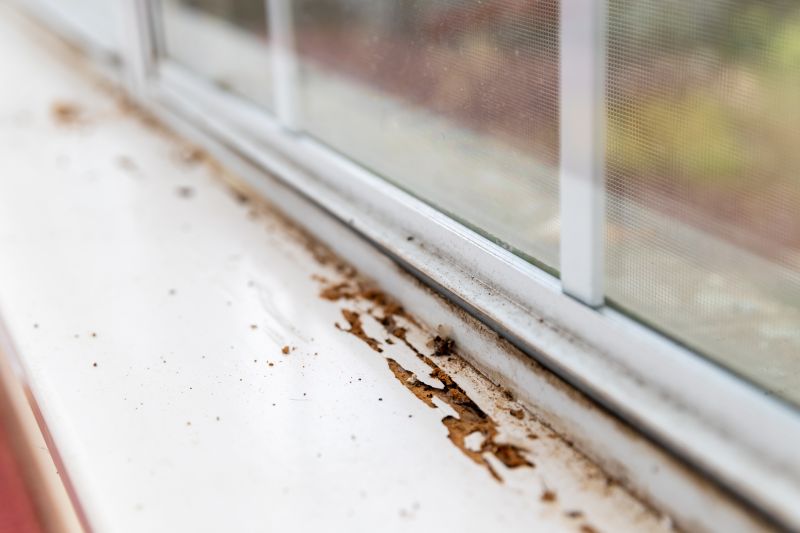 Dry Rot Repair in Roswell, GA