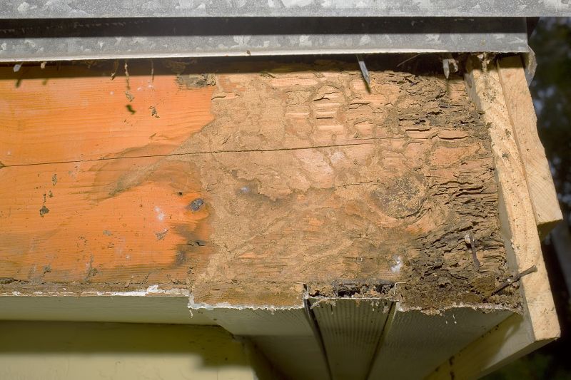 Dry Rot Repair in Alpharetta, GA