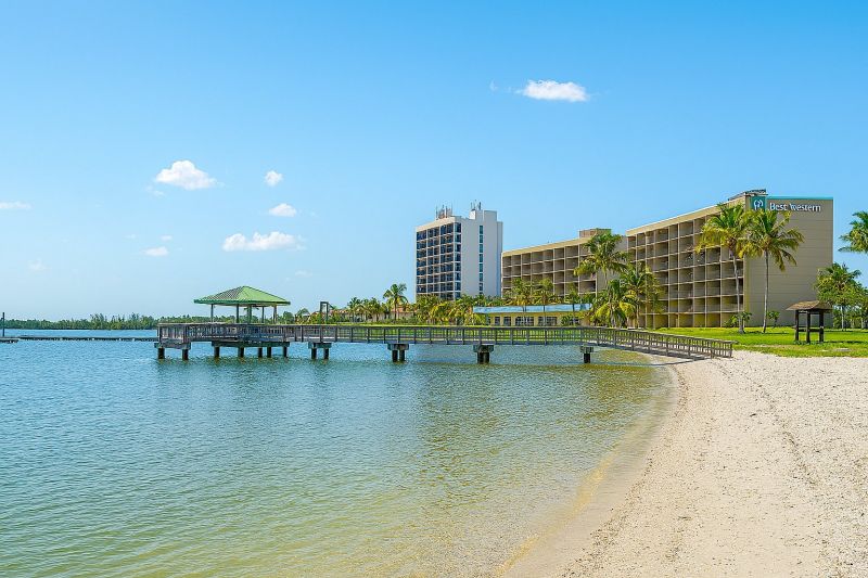 Local Dry Rot Repair Service in North Fort Myers, FL