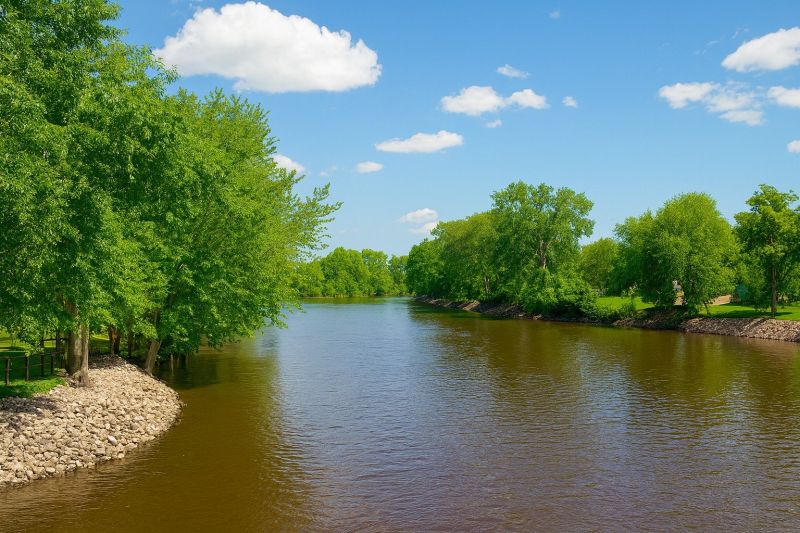 Local Dry Rot Repair Service in New London, WI