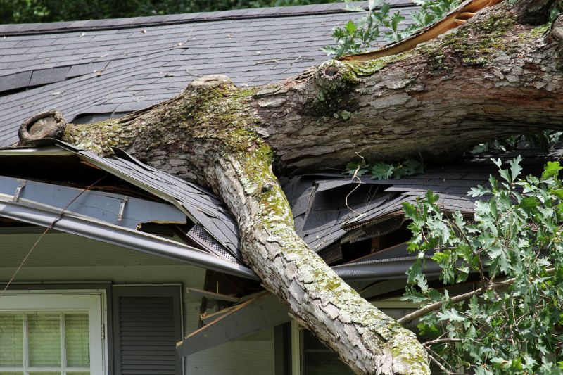 Storm Damage Mitigation in Chandler, AZ