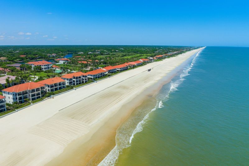 Local Termite Damage Repair Service in Ponte Vedra Beach, FL