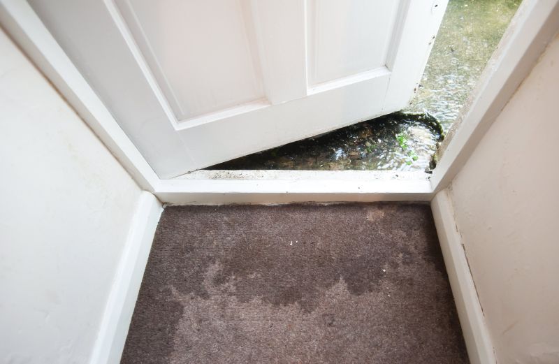 Wet Carpet Restoration in Scottsdale, AZ