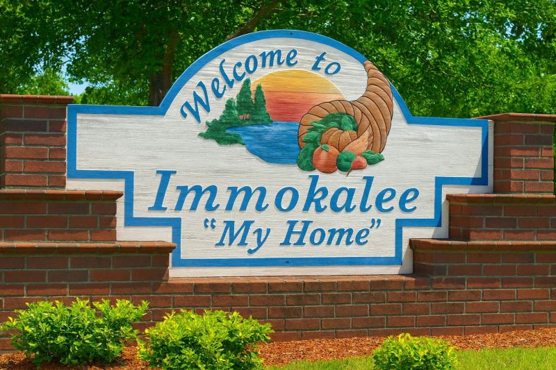 Local Window Rot Repair in Immokalee, FL