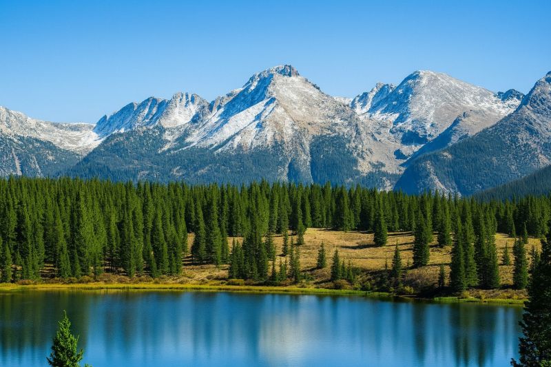 Local Wood Rot Repair in Lafayette, CO