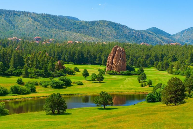 Local Wood Rot Repair in Larkspur, CO