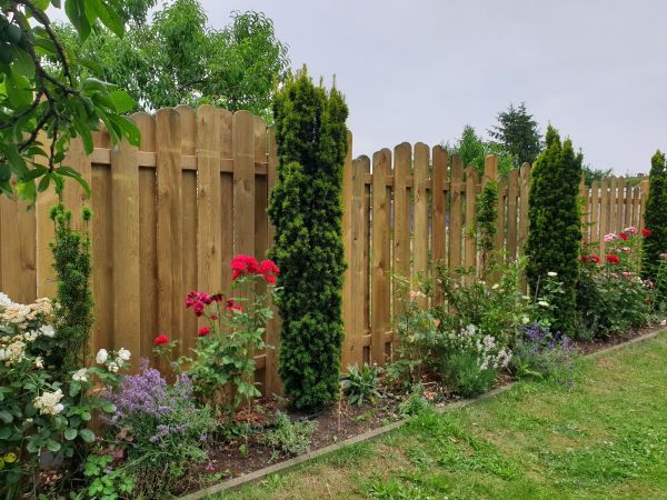 Rotted Wood Replacement
