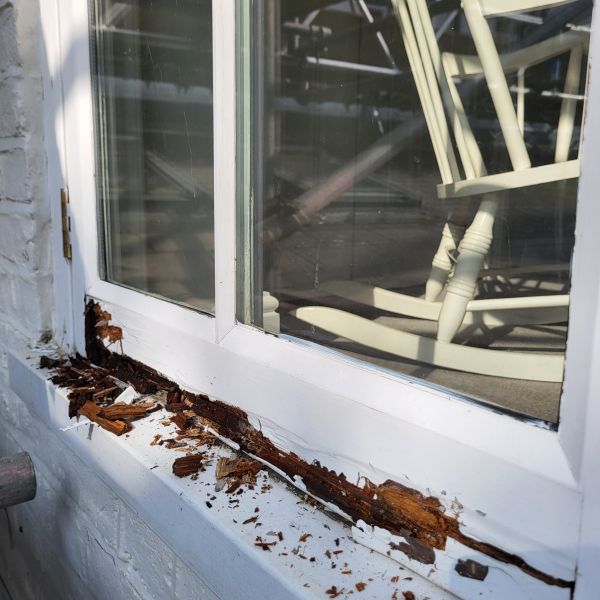 Wood Decay Removal Service